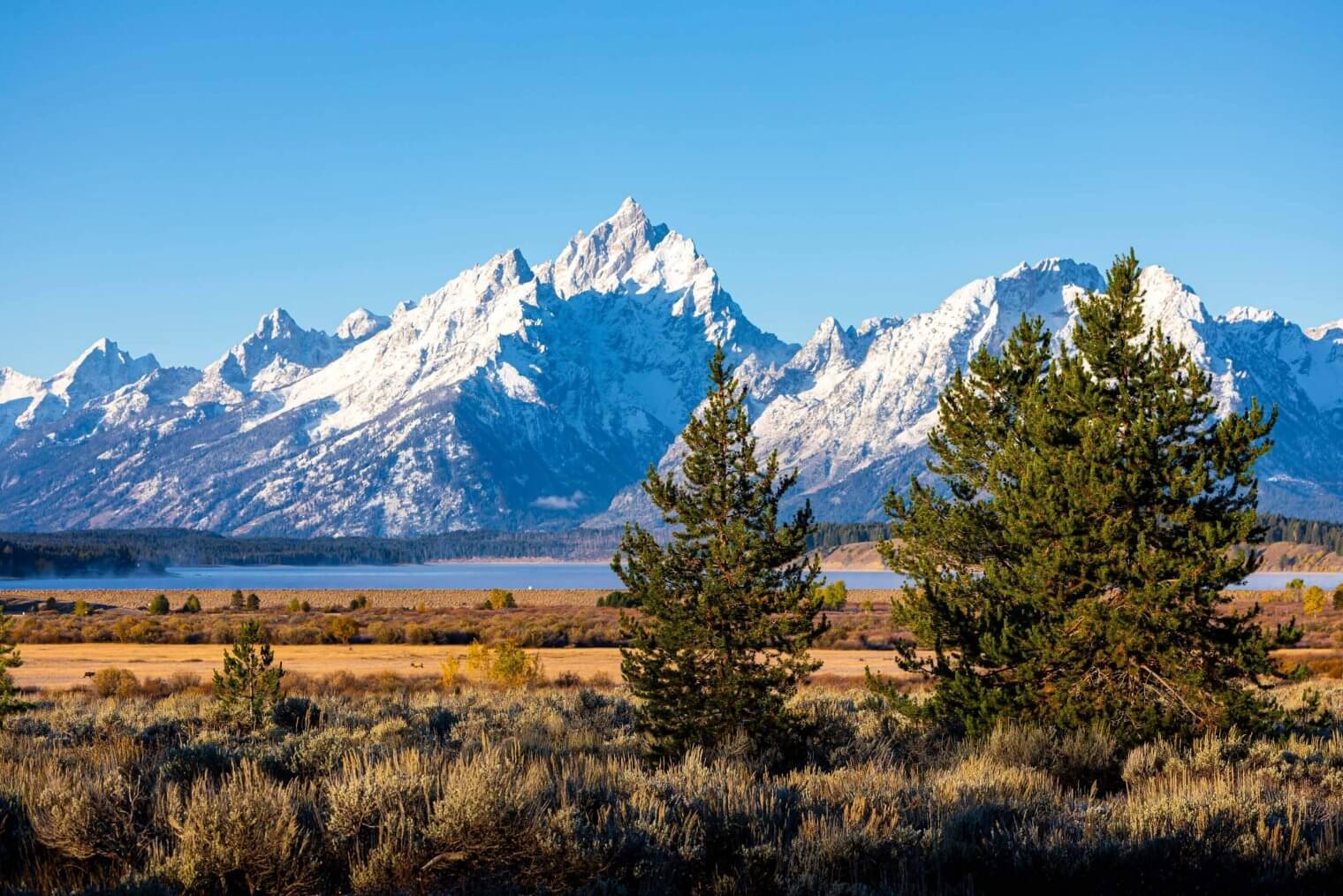 jackson hole apartments